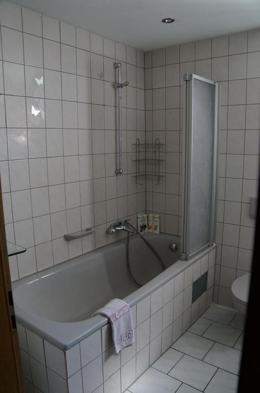 Nibelungen - Ferienwohnungen - Worms - Apartments Zewnętrze zdjęcie